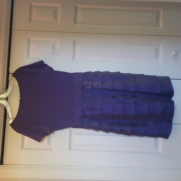 Gorgeous Purple & Iridescent purple Dress. Vneck with flattering ruffles. - Picture 8 of 9